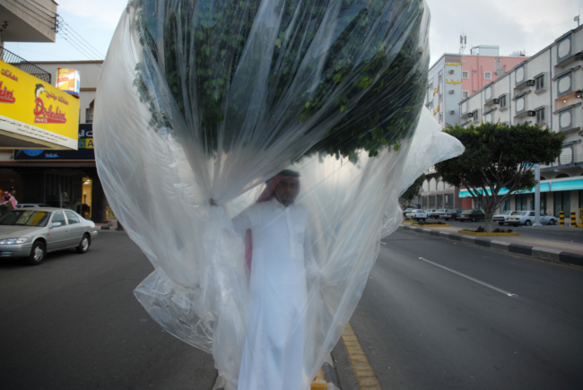 Afbeelding 5. Abdulnasser Gharem, Flora & Fauna, 2007, met dank aan de kunstenaar.