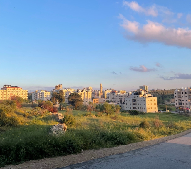 Het uitzicht vanuit mijn huis in Birzeit.